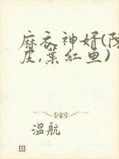 麻衣神婿(陈黄皮,叶红鱼)