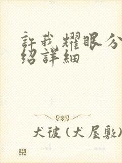 许我耀眼分集介绍详细