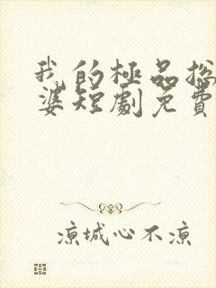 我的极品总裁老婆短剧免费全集免费播放