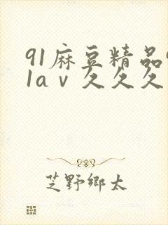 91麻豆精品91aⅴ久久久久久