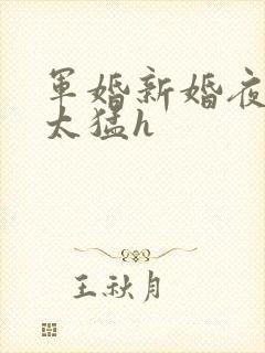 军婚新婚夜圆房太猛h封面