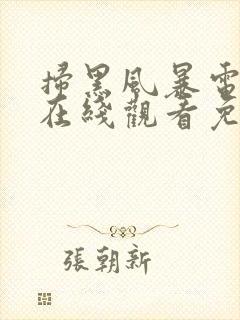 扫黑风暴电视剧在线观看免费完整版策驰