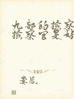 九部的检察官陈检察官是好人吗