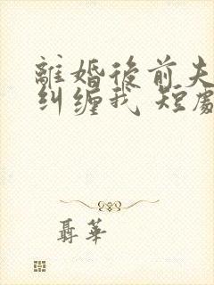 离婚后前夫总想纠缠我 短剧