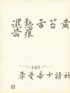 湿热舌苔黄腻有齿痕