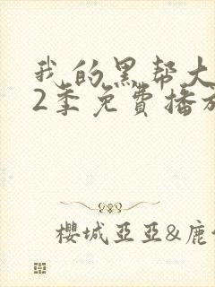 我的黑帮大佬第2季免费播放