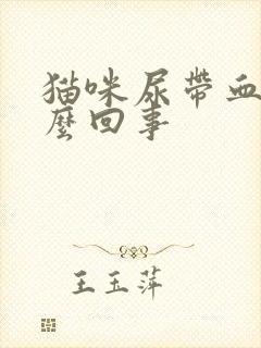 猫咪尿带血是怎么回事