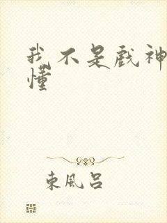 我不是戏神没看懂