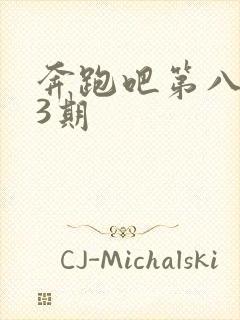 奔跑吧第八季第3期