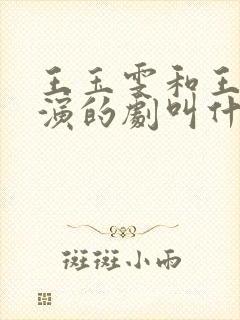 王玉雯和王安宇演的剧叫什么封面