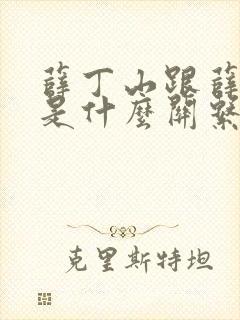 薛丁山跟薛仁贵是什么关系