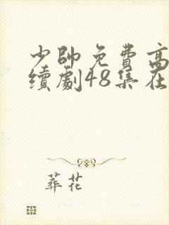 少帅免费高清连续剧48集在线观看