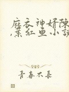 麻衣神婿陈黄皮,叶红鱼小说全文免费阅读