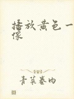 播放黄色一级录像封面