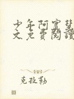 少年阿宾慧钰全文免费阅读