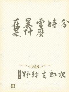 在暴雪时分讲的是什么封面