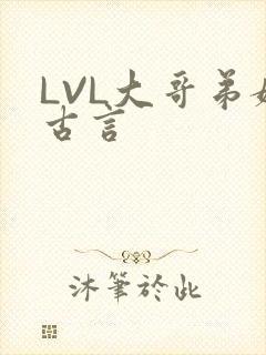 LVL大哥弟媳古言