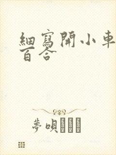 细写开小车车的百合