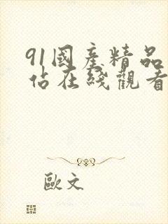 91国产精品网站在线观看