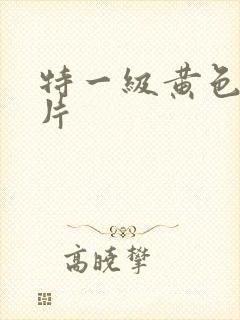 特一级黄色内射片