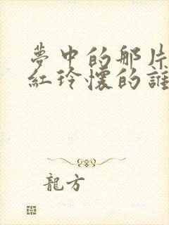 梦中的那片海贺红玲怀的谁的孩子