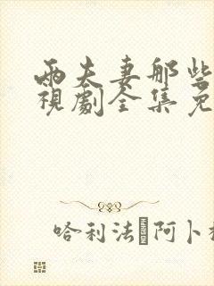 两夫妻那些事电视剧全集免费观看