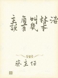 主角叫林浩的小说有几本