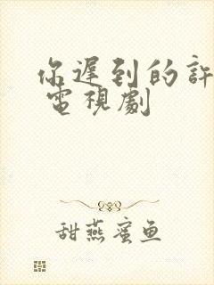 你迟到的许多年 电视剧封面