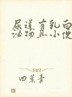 尿道有乳白色分泌物且小便刺痛