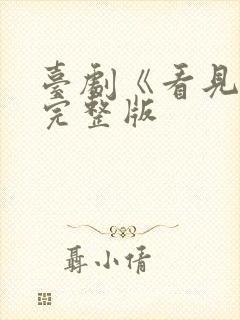 台剧《看见爱》完整版