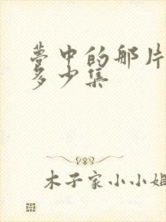 梦中的那片海共多少集封面