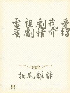 电视剧我爱男闺蜜剧情介绍