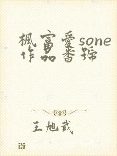 枫富爱sone作品番号封面