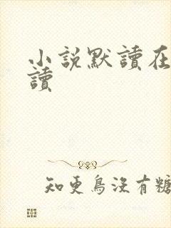 小说默读在线阅读