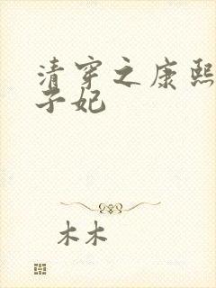 清穿之康熙与太子妃