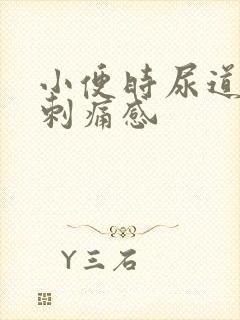 小便时尿道口有刺痛感封面