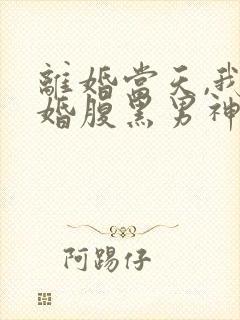 离婚当天,我闪婚腹黑男神 陈富贵