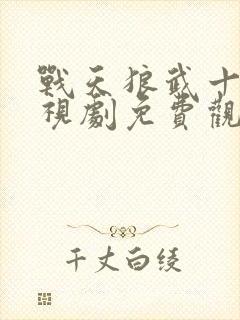 战天狼武十三电视剧免费观看