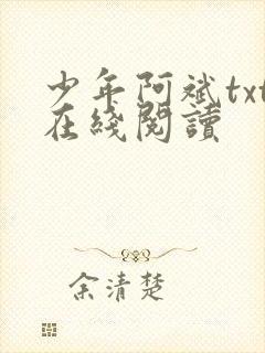 少年阿斌txt在线阅读封面