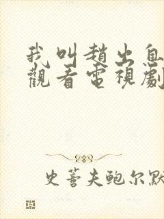 我叫赵出息免费观看电视剧最新版封面