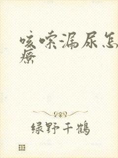 咳嗦漏尿怎么治疗