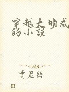 穿越大明成崇祯的小说