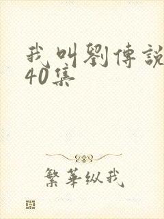 我叫刘传说1—40集