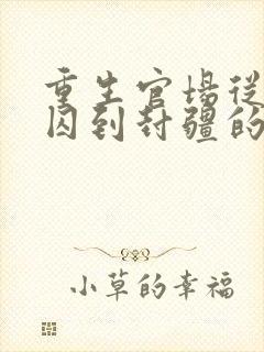 重生官场从阶下囚到封疆的小说