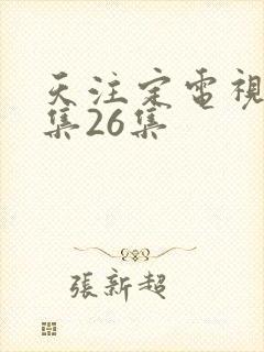 天注定电视剧全集26集