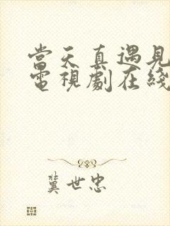 当天真遇见爱情电视剧在线观看