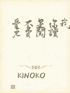 爱不是你我小说免费阅读封面