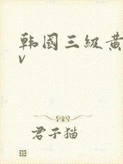 韩国三级黄色av封面