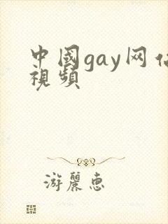 中国gay网站视频