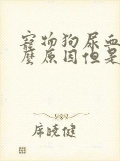 宠物狗尿血是什么原因但是很精神